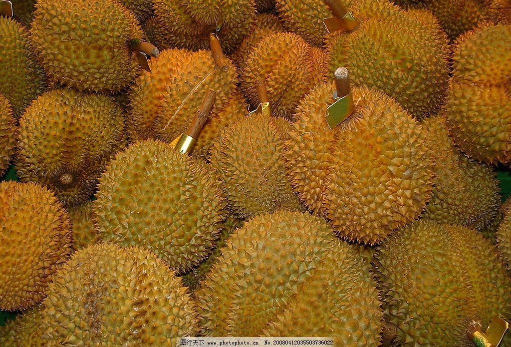 溜莲图片|榴莲图片大全|榴莲图|榴莲果实图片 - 原创文章网