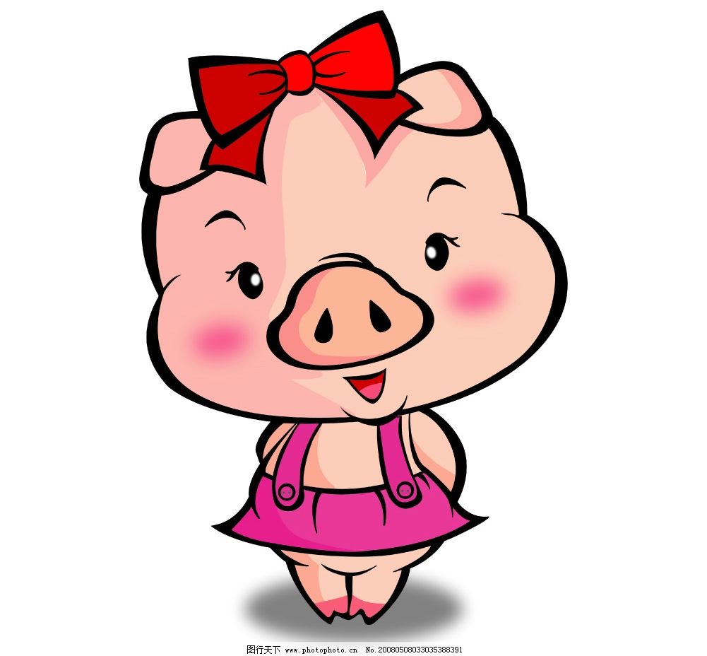 小猪图片