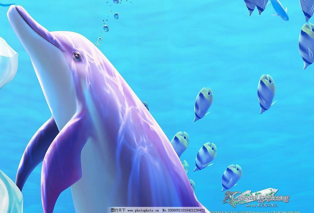 海豚动画可爱_皮皮网